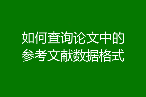 如何查询论文中的参考文献数据格式
