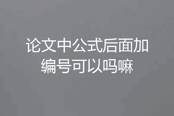 论文中公式后面加编号可以吗嘛