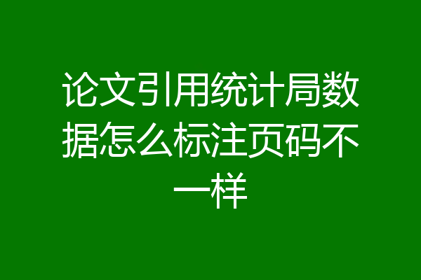 论文引用统计局数据怎么标注页码不一样