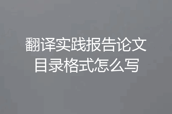 翻译实践报告论文目录格式怎么写