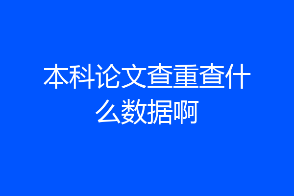 本科论文查重查什么数据啊