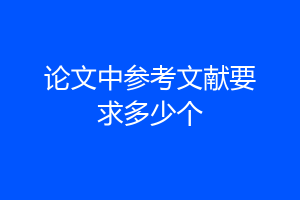 论文中参考文献要求多少个