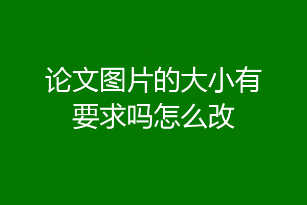 论文图片的大小有要求吗怎么改