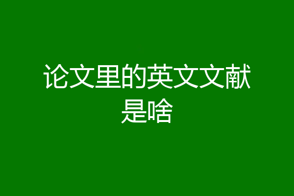 论文里的英文文献是啥