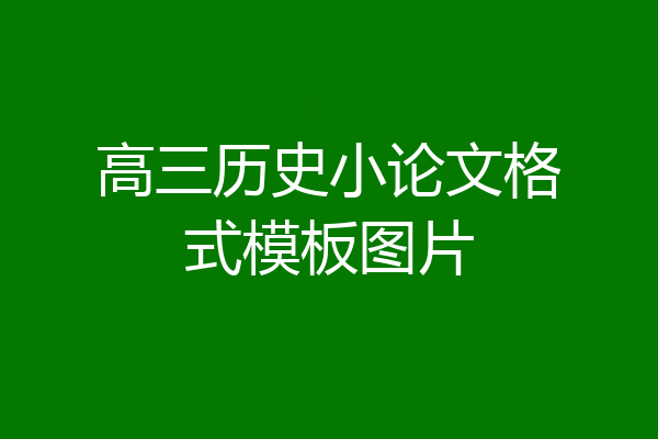 高三历史小论文格式模板图片