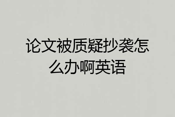 论文被质疑抄袭怎么办啊英语