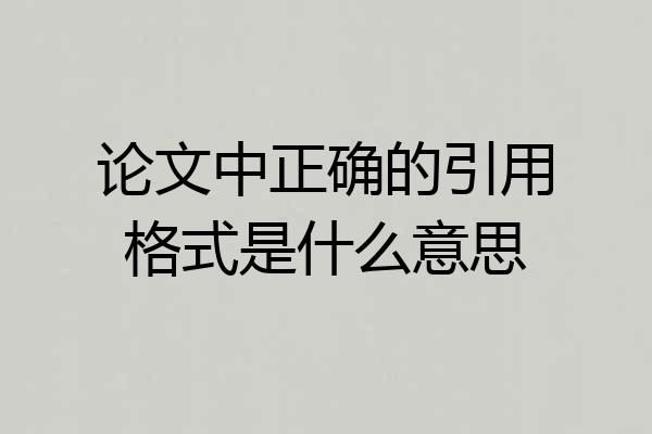 论文中正确的引用格式是什么意思