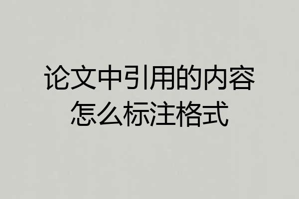 论文中引用的内容怎么标注格式