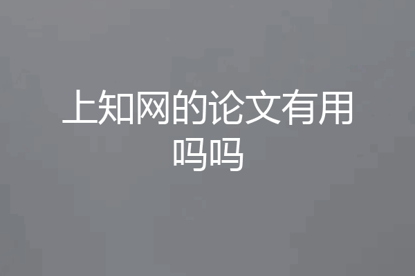 上知网的论文有用吗吗