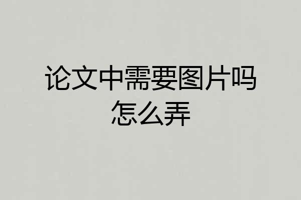 论文中需要图片吗怎么弄