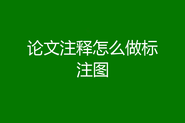 论文注释怎么做标注图