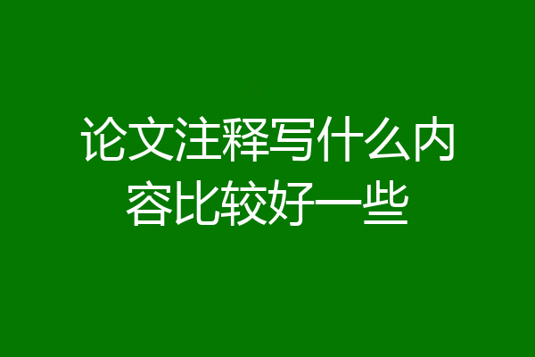 论文注释写什么内容比较好一些
