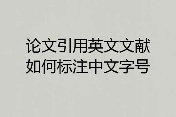 论文引用英文文献如何标注中文字号