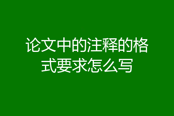 论文中的注释的格式要求怎么写