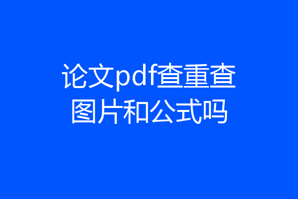 论文pdf查重查图片和公式吗