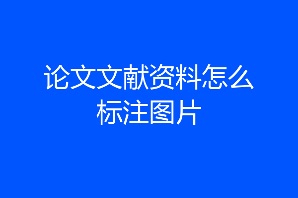 论文文献资料怎么标注图片