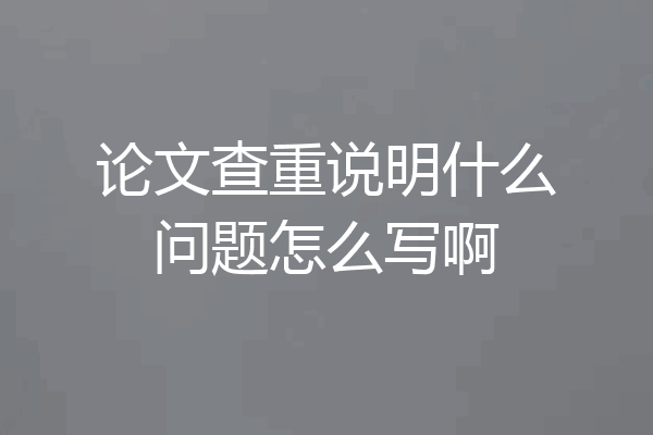 论文查重说明什么问题怎么写啊