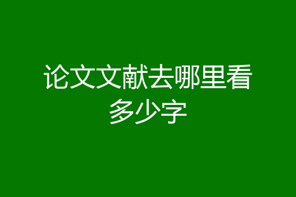 论文文献去哪里看多少字