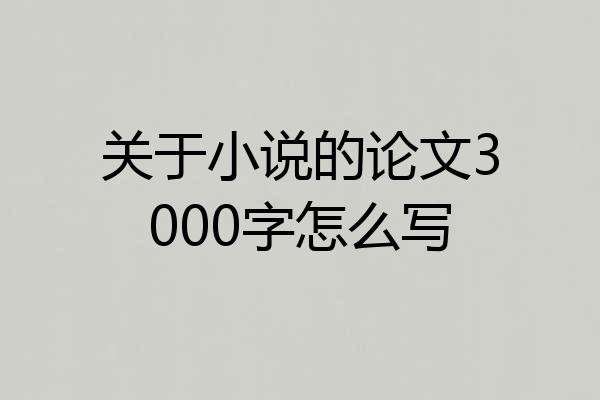 关于小说的论文3000字怎么写