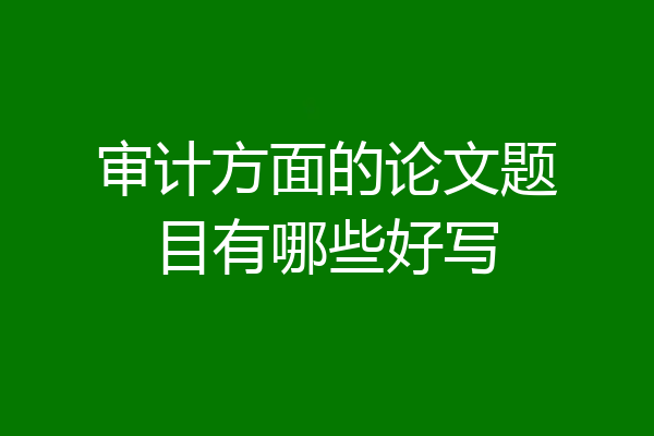 审计方面的论文题目有哪些好写