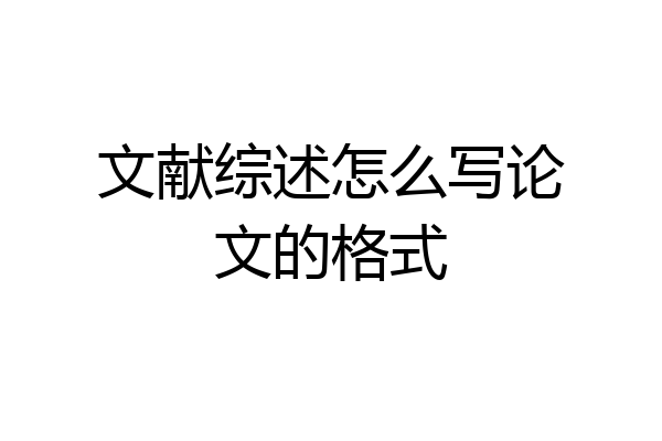 文献综述怎么写论文的格式