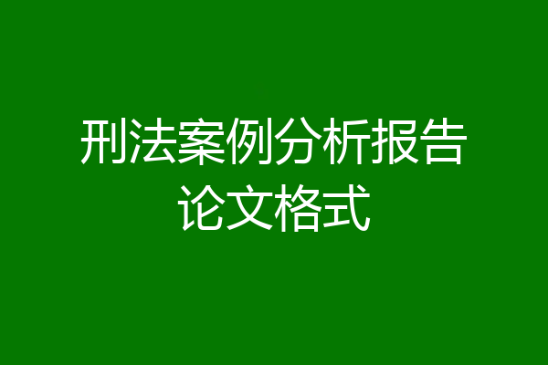 刑法案例分析报告论文格式