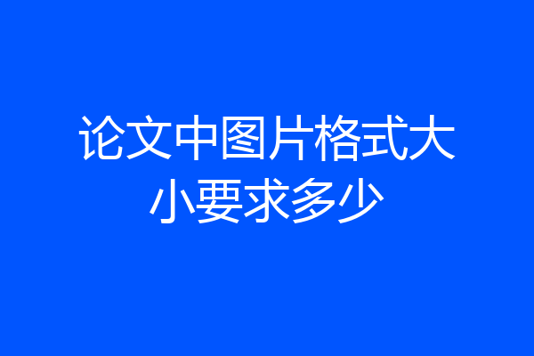 论文中图片格式大小要求多少