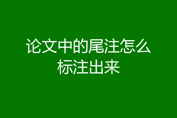 论文中的尾注怎么标注出来