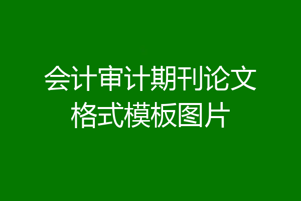 会计审计期刊论文格式模板图片