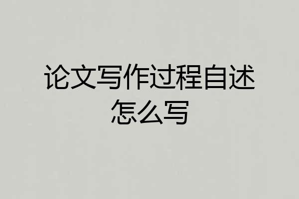 论文写作过程自述怎么写