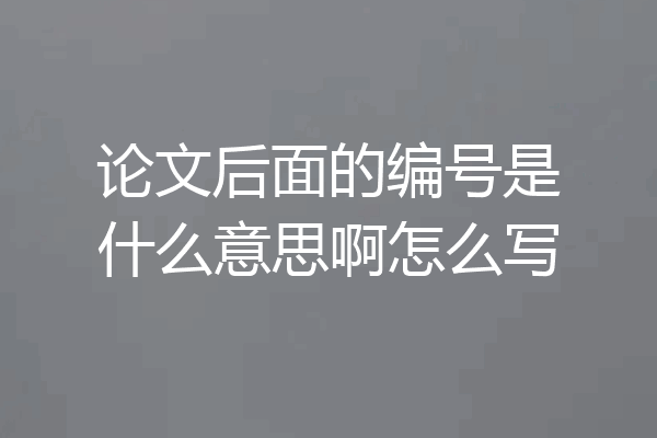 论文后面的编号是什么意思啊怎么写