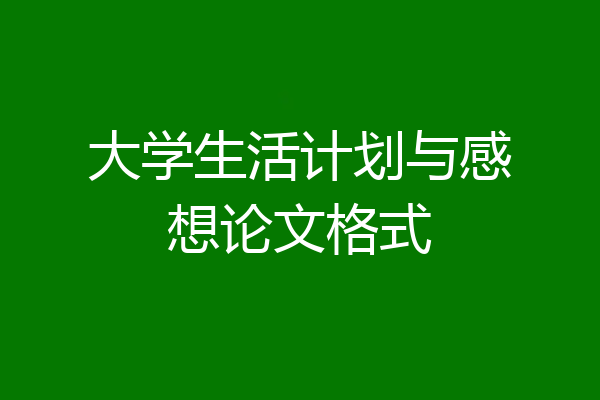 大学生活计划与感想论文格式