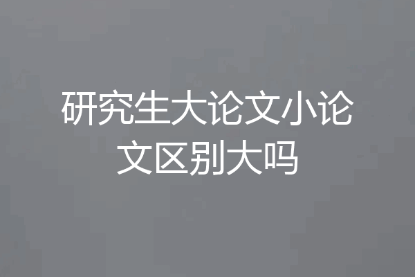 研究生大论文小论文区别大吗