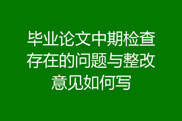 毕业论文中期检查存在的问题与整改意见如何写