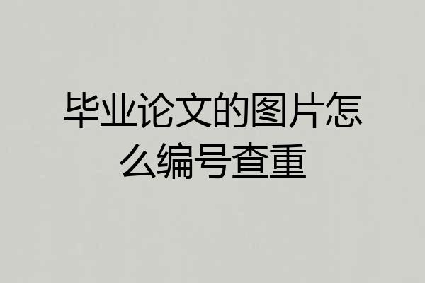毕业论文的图片怎么编号查重