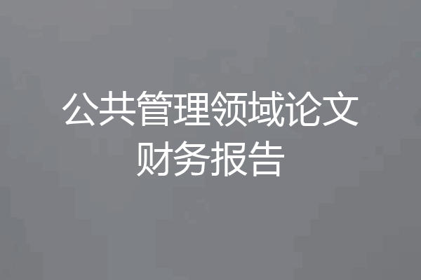公共管理领域论文财务报告
