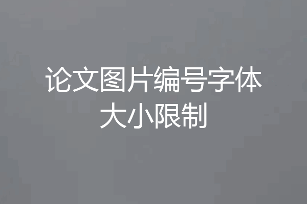 论文图片编号字体大小限制