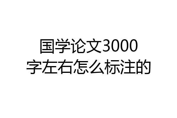 国学论文3000字左右怎么标注的
