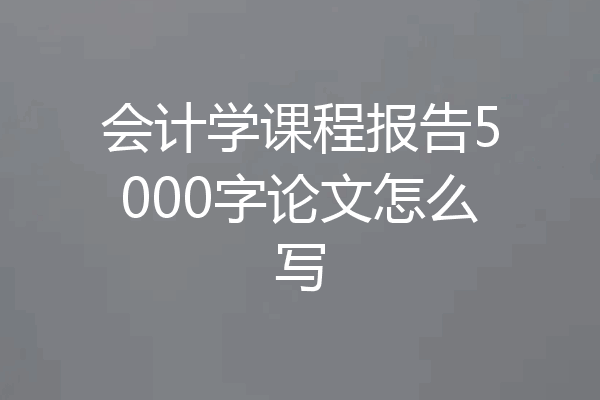 会计学课程报告5000字论文怎么写