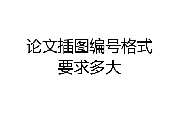 论文插图编号格式要求多大