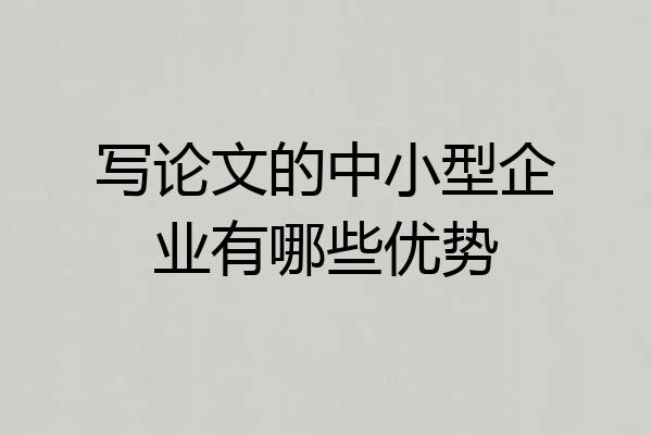 写论文的中小型企业有哪些优势