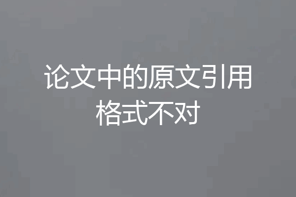 论文中的原文引用格式不对