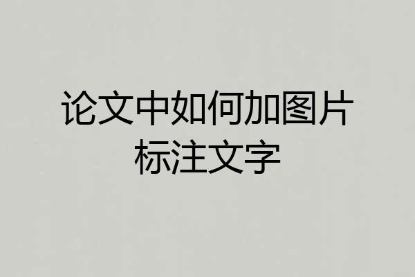 论文中如何加图片标注文字