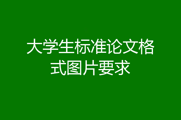大学生标准论文格式图片要求