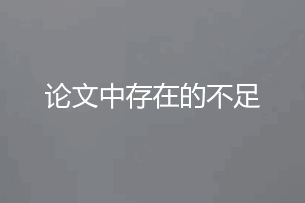 论文中存在的不足