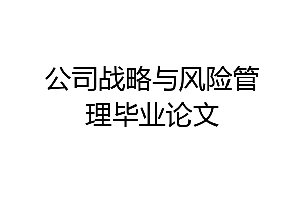 公司战略与风险管理毕业论文