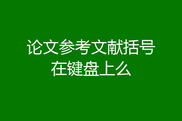 论文参考文献括号在键盘上么