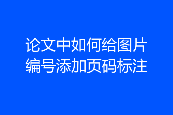 论文中如何给图片编号添加页码标注