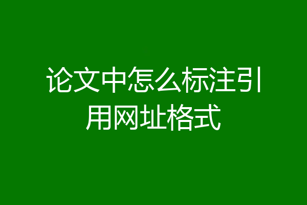 论文中怎么标注引用网址格式