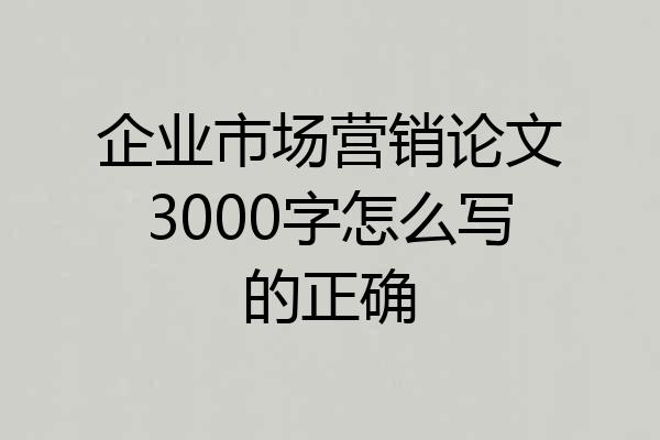 企业市场营销论文3000字怎么写的正确